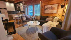 Cottage in Levi close the winter activities